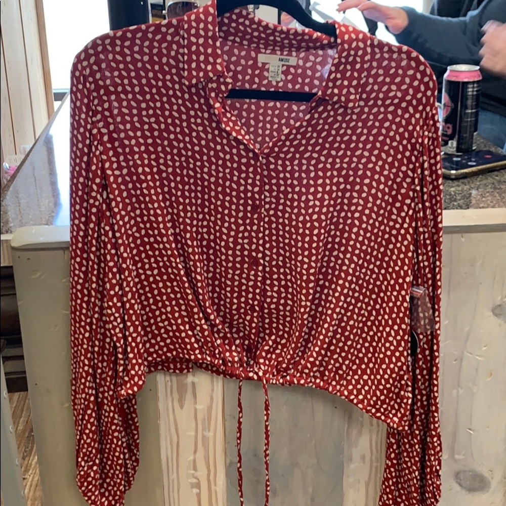 Amuse Society long sleeve crop